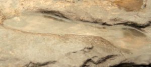 image_1749_2e-Happisburgh-Footprints